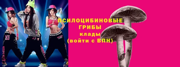 МДПВ Новозыбков