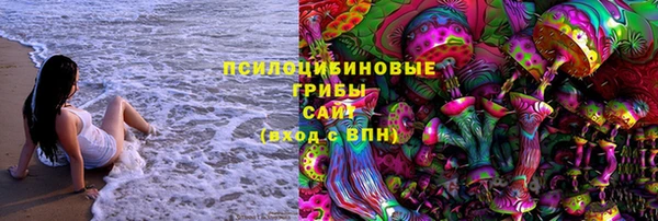 МДПВ Новозыбков