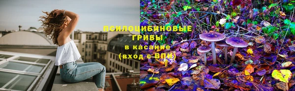 соль курить ск Новодвинск
